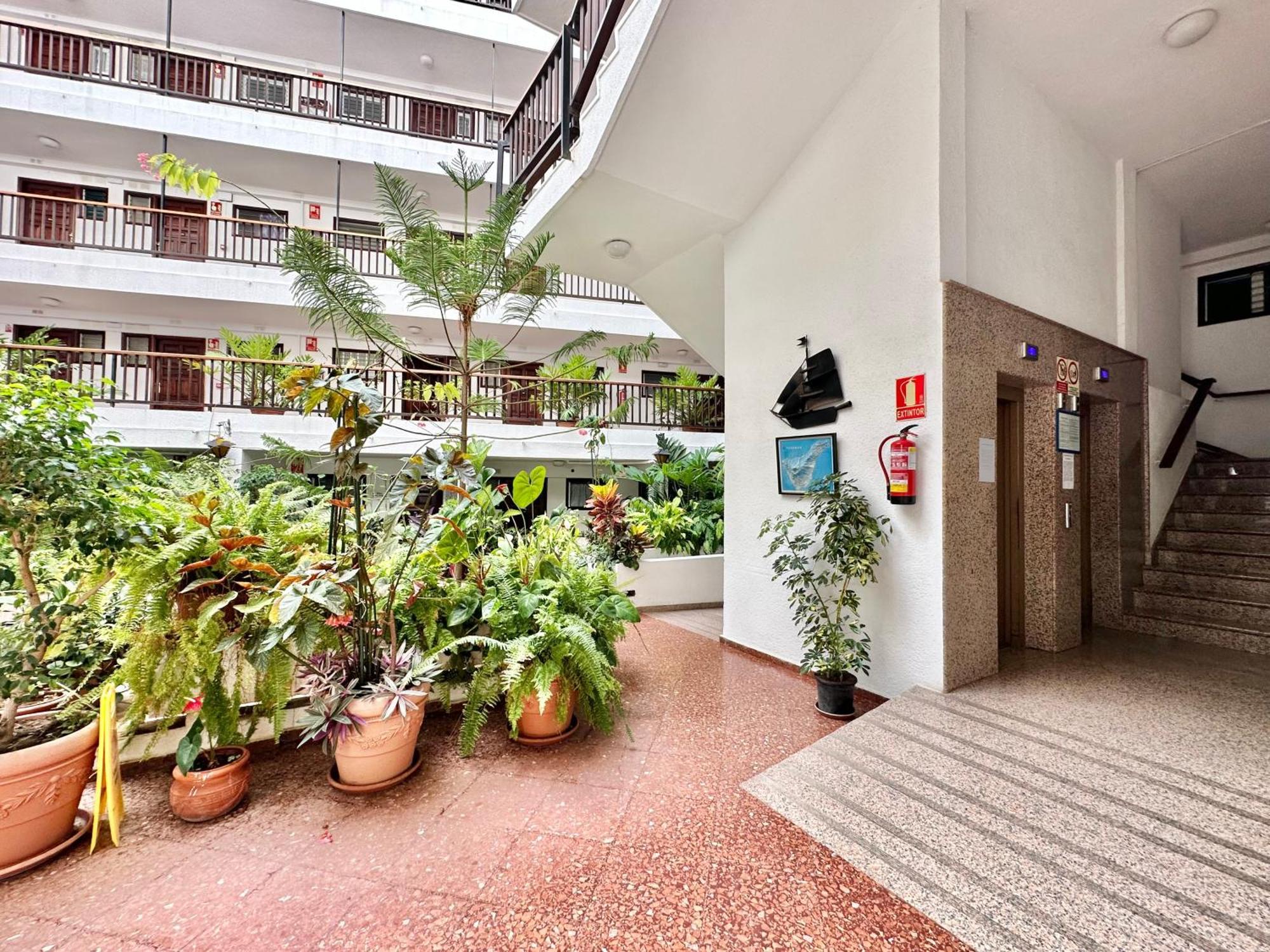 First Line Attic - Adults Only - * Puerto de la Cruz (Tenerife)
